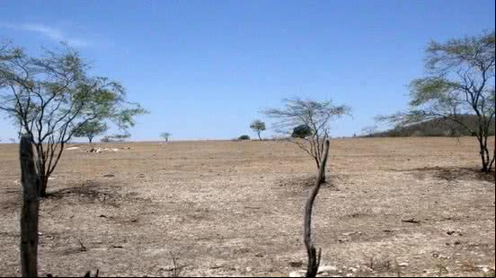 Alagoas foi um dos estados que teve agravamento da seca em abril, diz agência - Ascom Governo de Alagoas