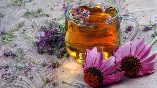 Chá de echinacea com gengibre e limão (Imagem: KRIACHKO OLEKSII | Shutterstock)