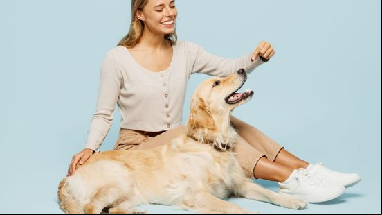 A artrite é uma doença que também pode afetar os animais (Imagem: ViDI Studio | Shutterstock)